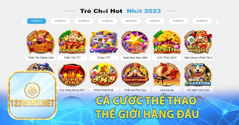 Cá cược thể thao thế giới hàng đầu