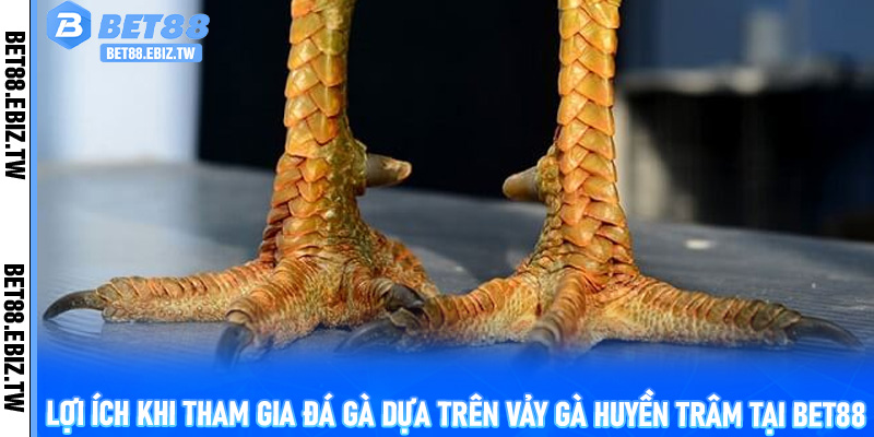 Lợi ích khi tham gia đá gà dựa trên vảy gà Huyền Trâm tại Bet88