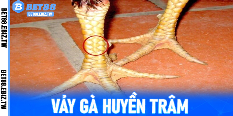 Vảy Gà Huyền Trâm Mang Ý Nghĩa Gì Trong Chiến Đấu?