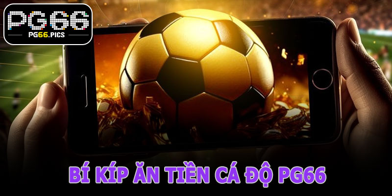 Bí Kíp Ăn Tiền Cá Độ PG66