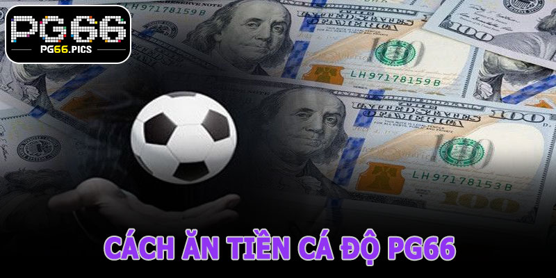 Cách Ăn Tiền Cá Độ PG66 – Bí Kíp Cao Thủ Chưa Tiết Lộ